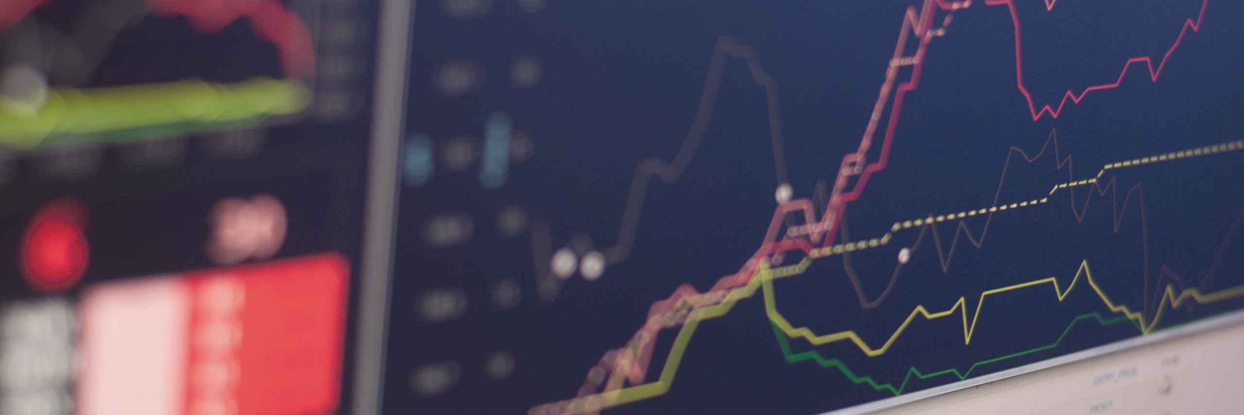 Jadrana Brehová header image